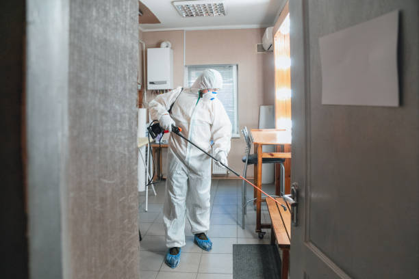 Trusted Murphy, TX Mold Removal Experts